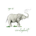 Load image into Gallery viewer, Birthday Card | Elephant