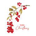 Load image into Gallery viewer, Christmas Card | Holly & Berries
