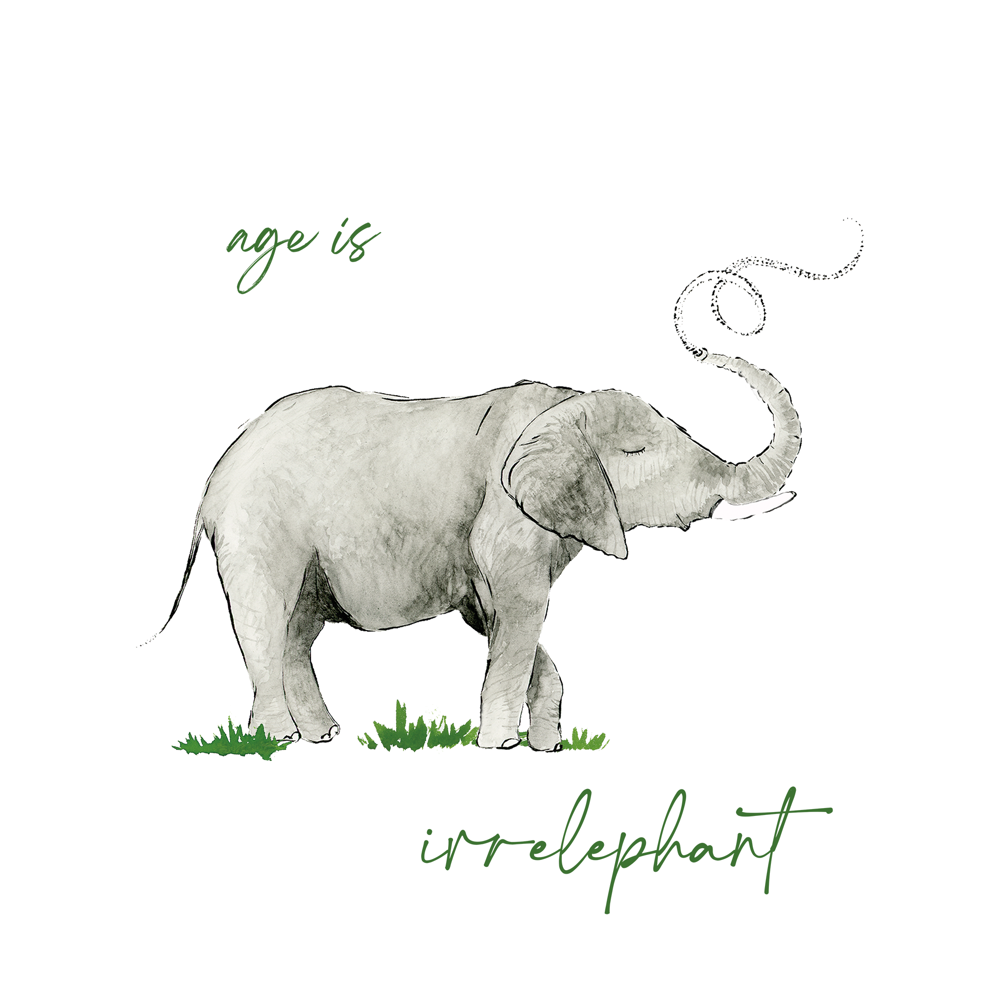 Birthday Card | Elephant