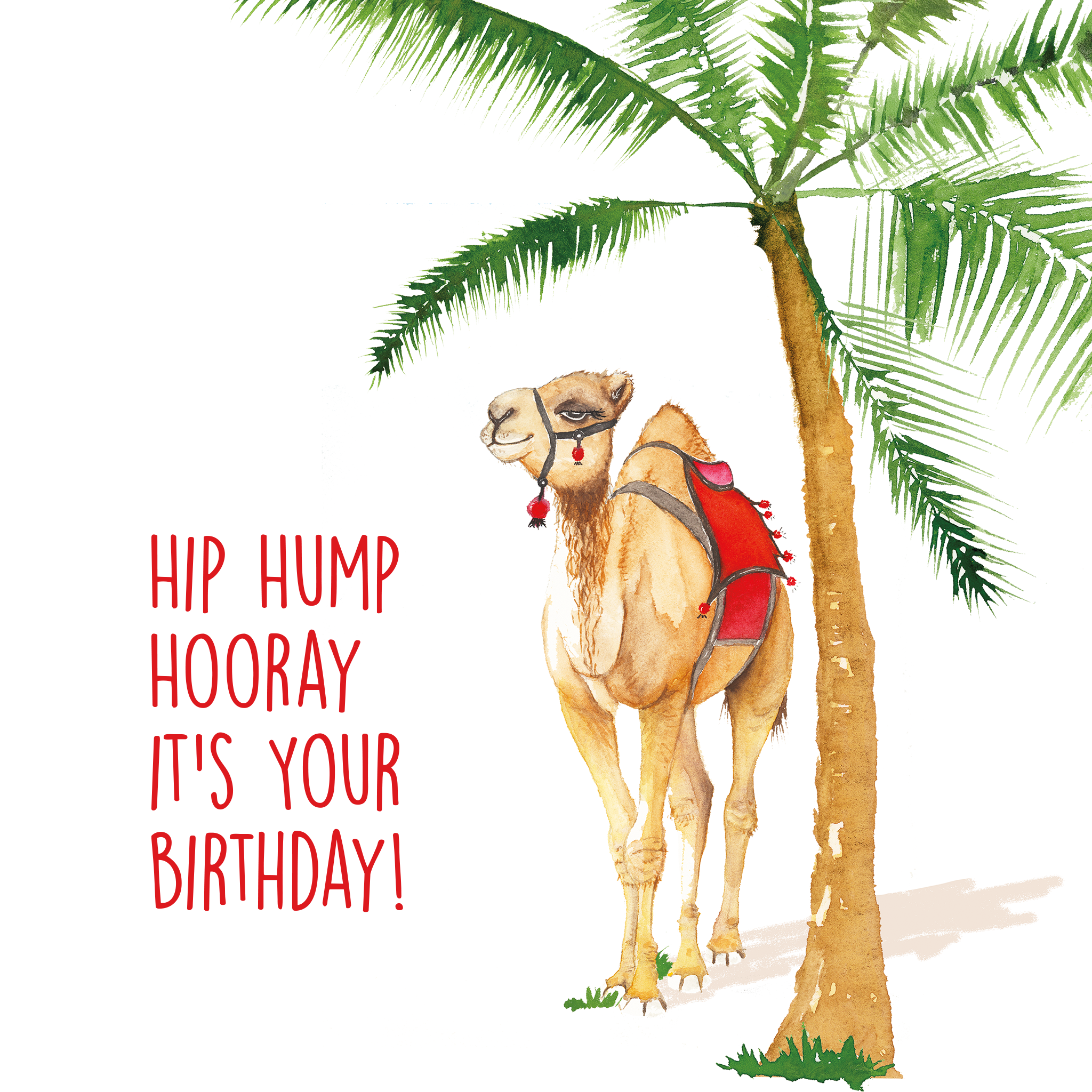 Birthday Card | Camel with Palm
